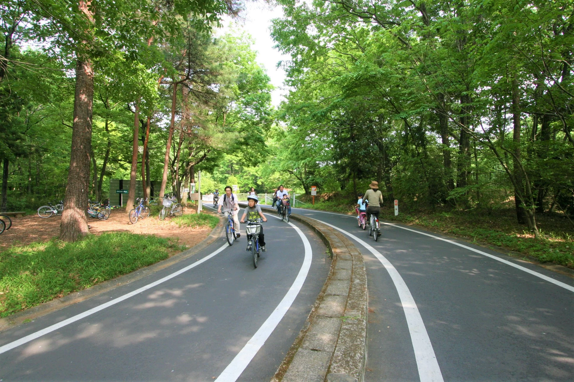 埼玉】春は日帰りサイクリング おすすめの公園4選